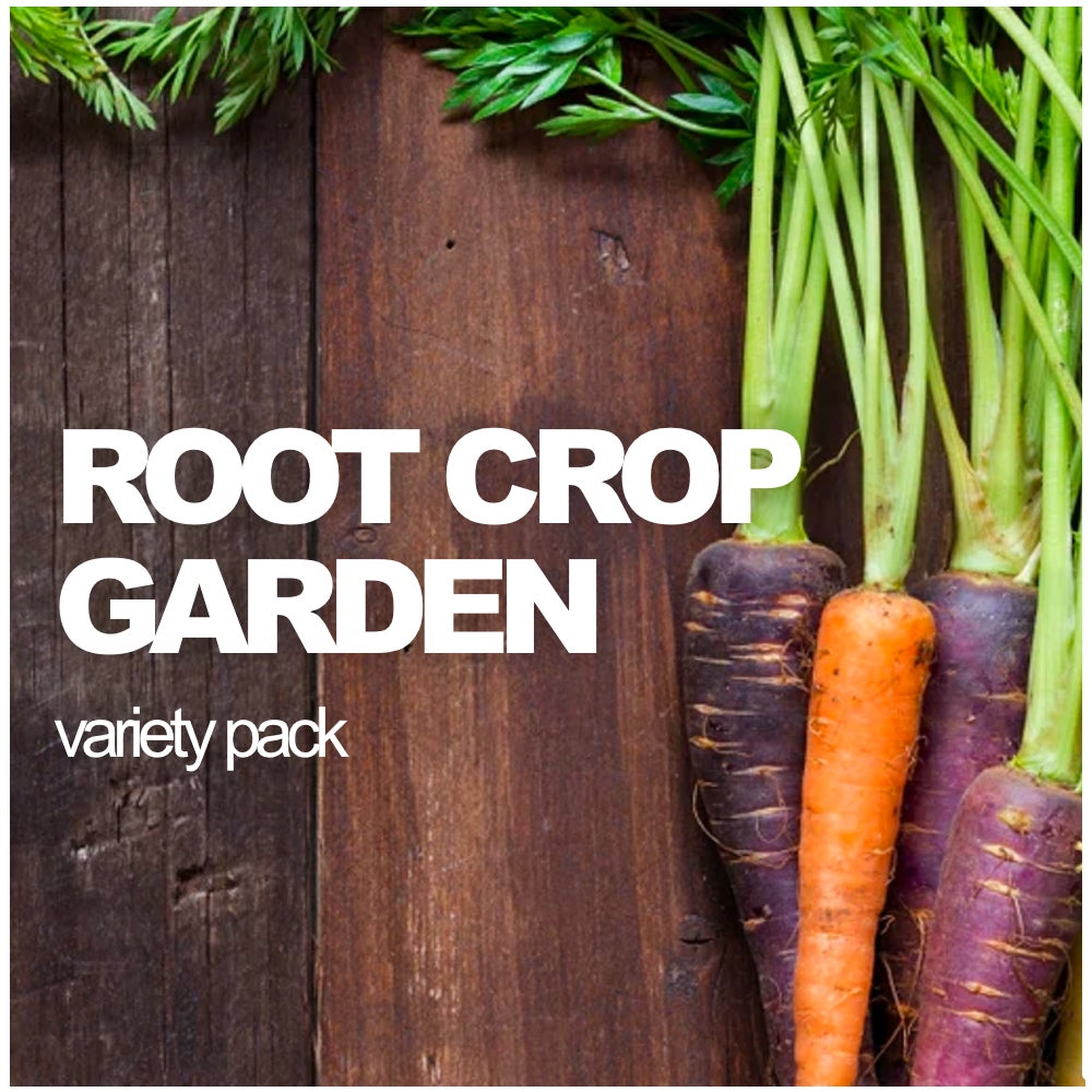 Assorted root crops in seed packets from SeedsNow-SeedBanks, including carrots, beets, and radishes in a variety pack.