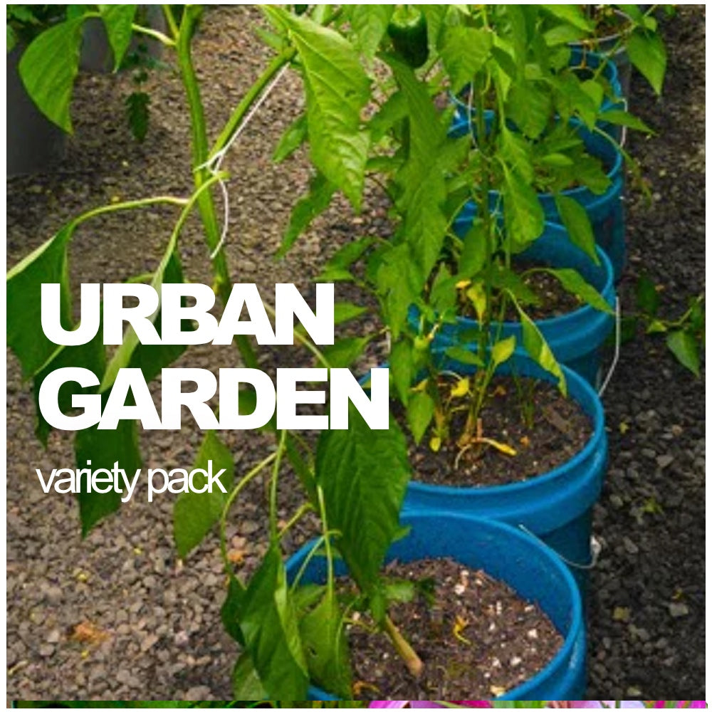 Assorted vegetable and herb seeds in an All-in-One Urban Garden Variety Pack by SeedsNow-SeedBanks for container and small space gardening.