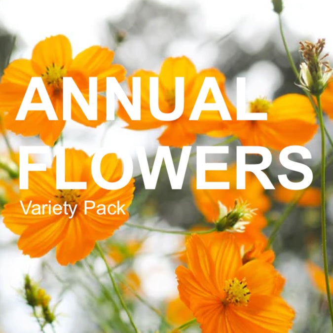 All-in-One Annual Flower Garden Variety Pack - SeedsNow.com - *Variety Packs
