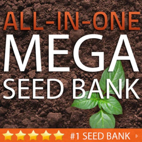Custom Seed Bank - SeedsNow.com - *Seed Banks