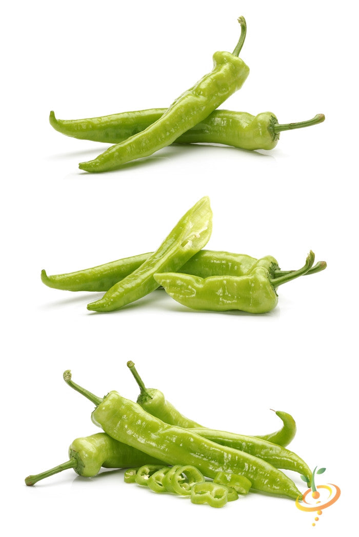 Bright red Big Jim hot pepper from SeedsNow, showcasing its elongated shape and vibrant skin on a fresh pepper plant.