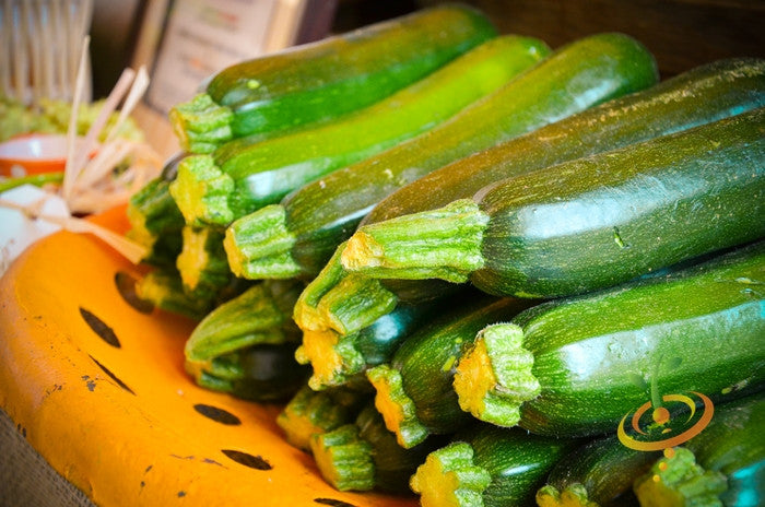 Black Beauty Zucchini summer squash from SeedsNow, fresh green zucchini with smooth skin and leafy plant background.