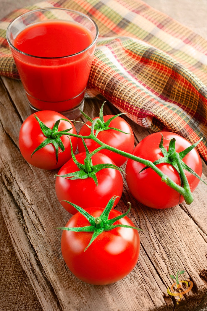 SeedsNow Bonny Best indeterminate tomato seeds in packet with vibrant tomato illustrations on the front.