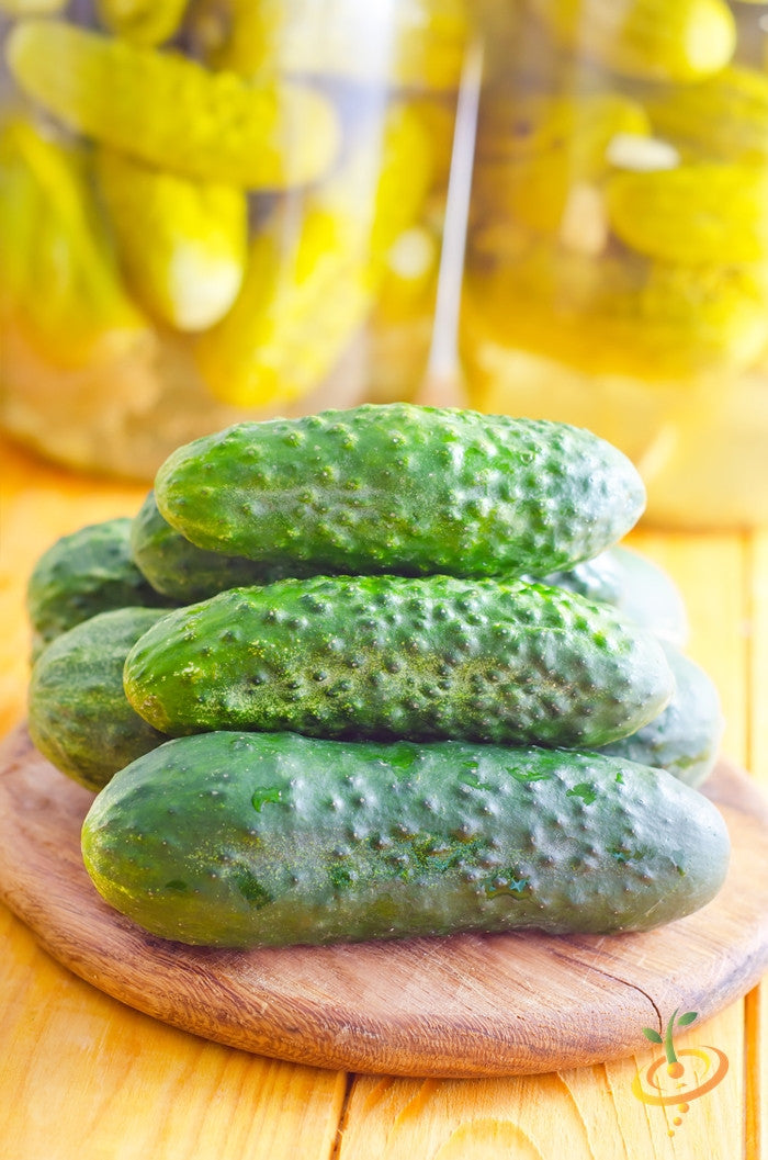 Cucumber seeds for homemade pickles from SeedsNow, shown in a small packet with fresh cucumbers in the background.