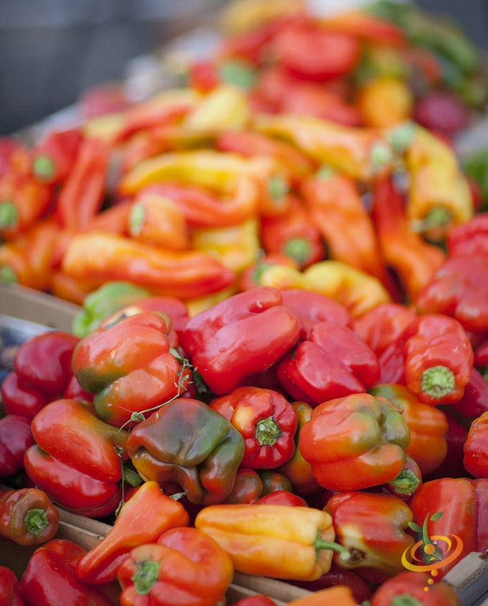 California Wonder sweet pepper seeds from SeedsNow, showing vibrant green and red peppers on the plant.