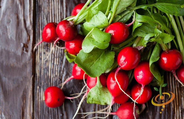 Fresh red radishes from SeedsNow Champion seeds, showcasing vibrant radish bulbs and green leafy tops on a white background.