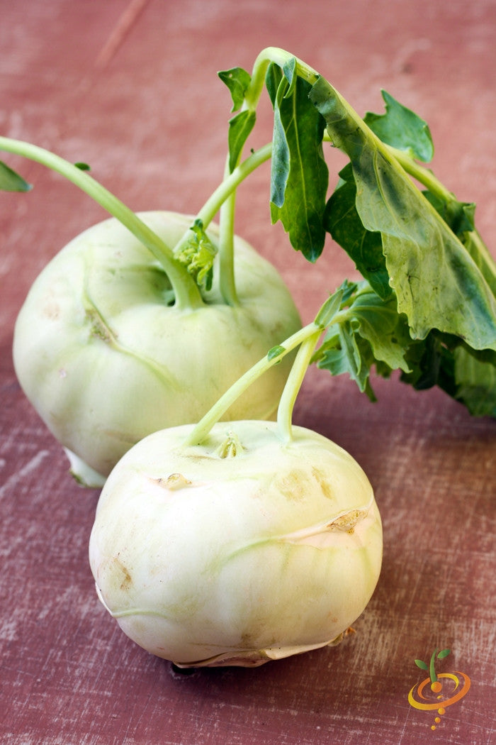 White Kohlrabi Delicatesse seeds from SeedsNow, close-up of seed packet showing white kohlrabi vegetable and seed details.