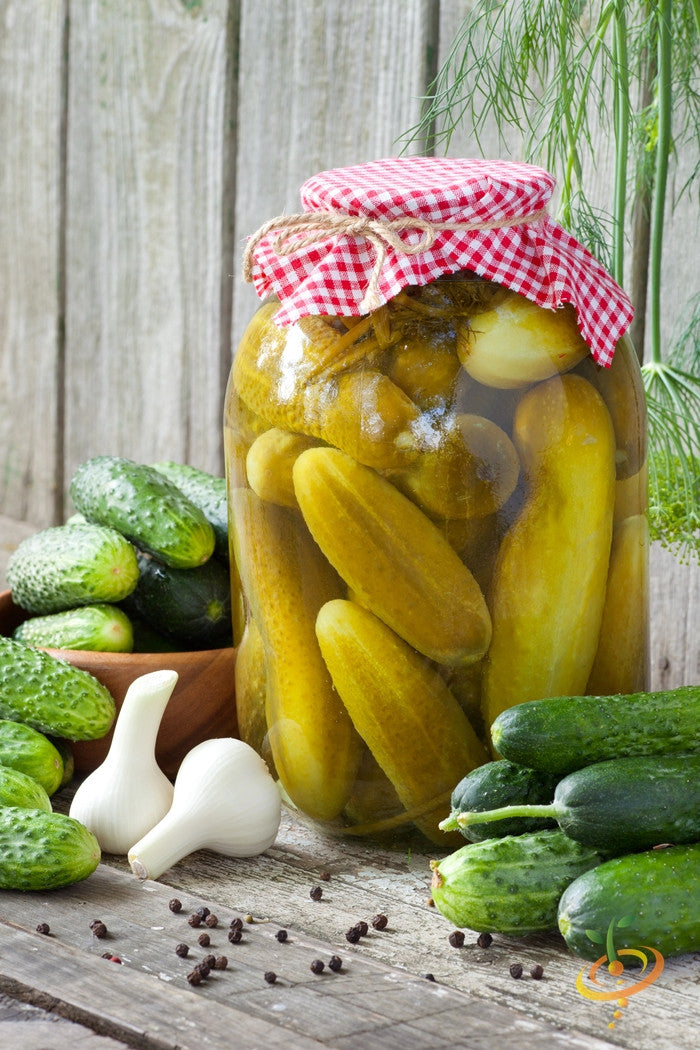 Fresh cucumber seeds for homemade pickles from SeedsNow, ideal for growing your own crunchy, flavorful cucumbers.