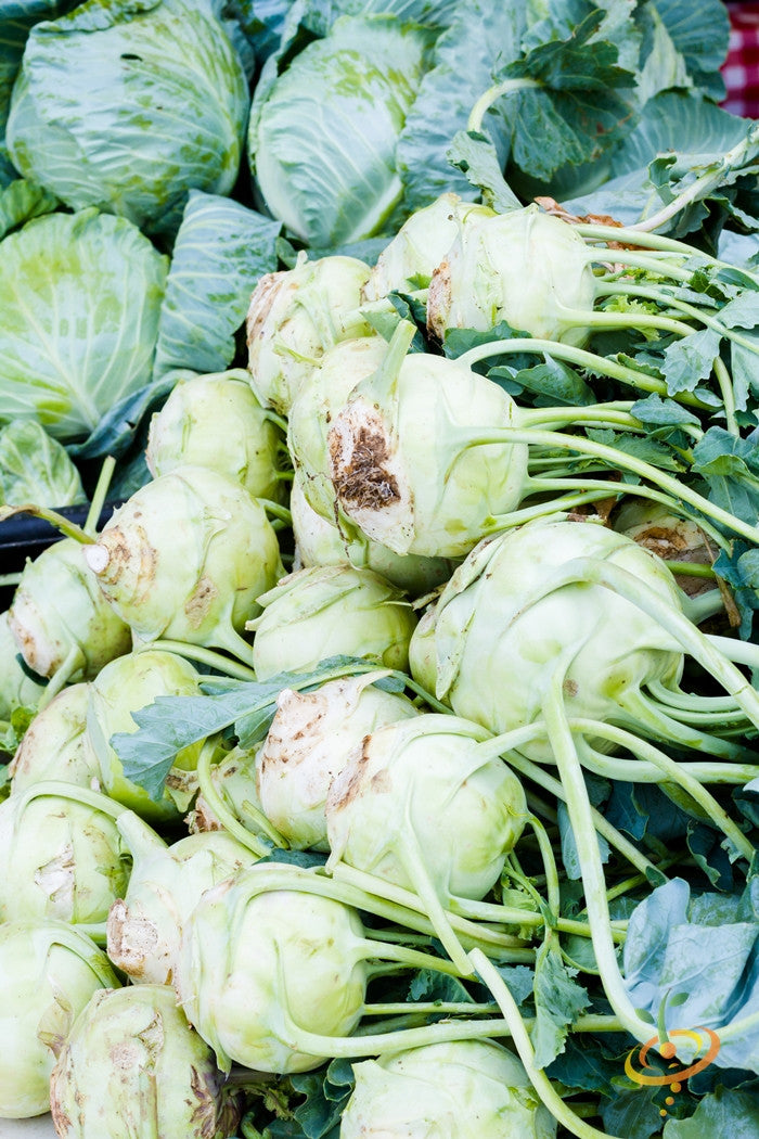 Fresh blue seeds of Kohlrabi Delicatesse by SeedsNow, displayed with vibrant seed details on a white background.