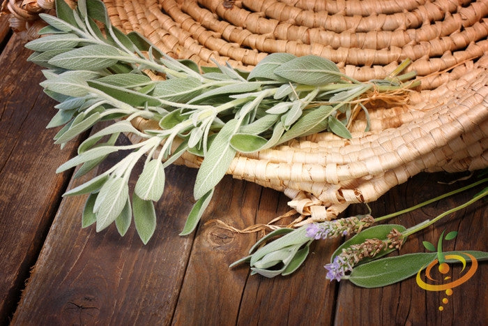 Sage - Broadleaf.
