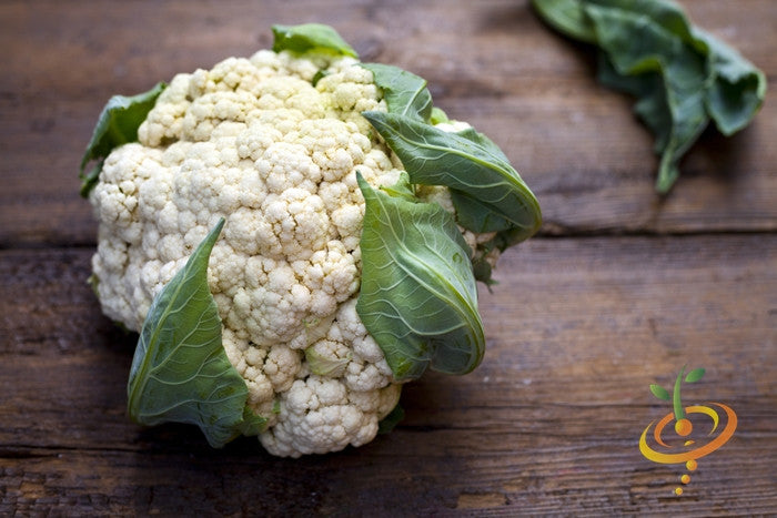 Fresh cauliflower from SeedsNow, showing vibrant, tightly packed white florets suitable for all-year gardening.