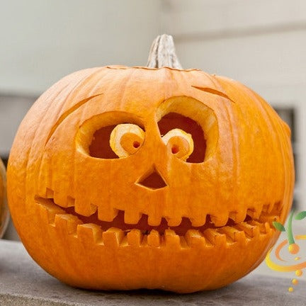 Pumpkin Jack O' Lantern seeds by SeedsNow, showing vibrant orange pumpkin seeds ready for planting or display.