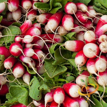 Radish Sparkler seeds from SeedsNow displayed in a packet with fresh radish roots and green leaves.