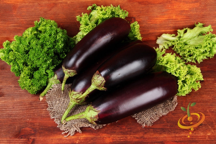 Fresh eggplant (aubergine) from SeedsNow Florida Market seeds, showing ripe, glossy purple fruit on a healthy plant.