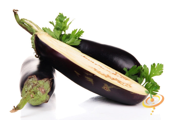 Fresh Florida Market eggplant (aubergine) grown from SeedsNow seeds, vibrant purple fruit with glossy skin on a plant.