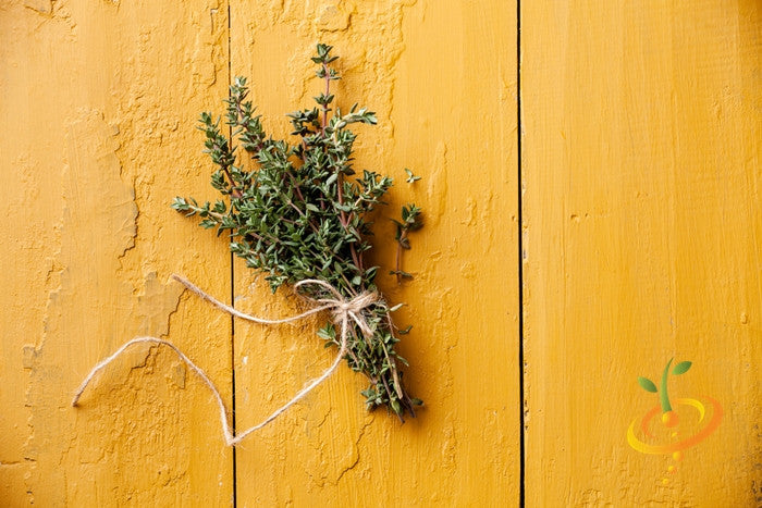 Close-up of thyme seeds from SeedsNow, small dried herb seeds suitable for planting and growing thyme in your garden.
