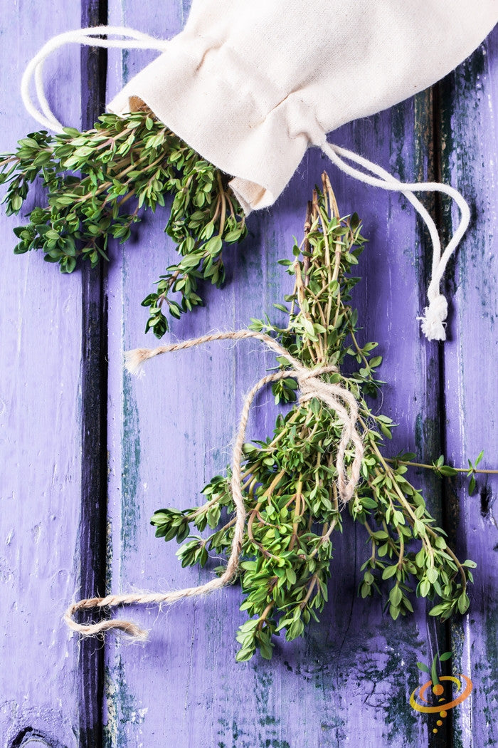 Pack of SeedsNow thyme seeds showing small green seeds in a clear container, ideal for herb gardening and planting.