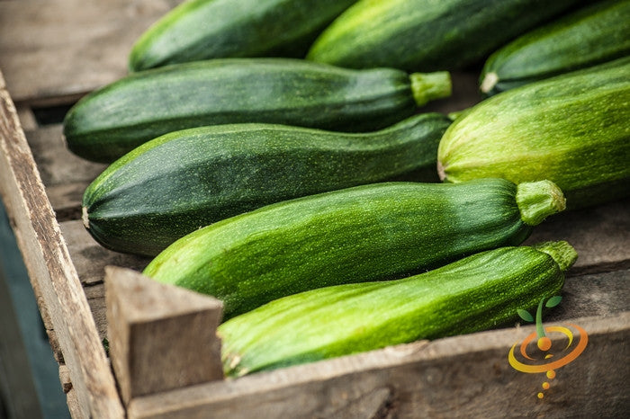 Black Beauty Zucchini summer squash seeds from SeedsNow, showing fresh seed packets for planting zucchini.