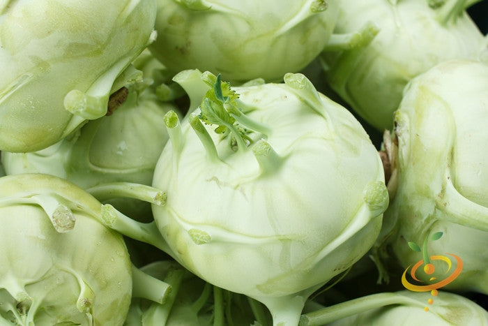 White Kohlrabi seed packet from SeedsNow, featuring Delicatesse variety with small white seeds for growing Kohlrabi.
