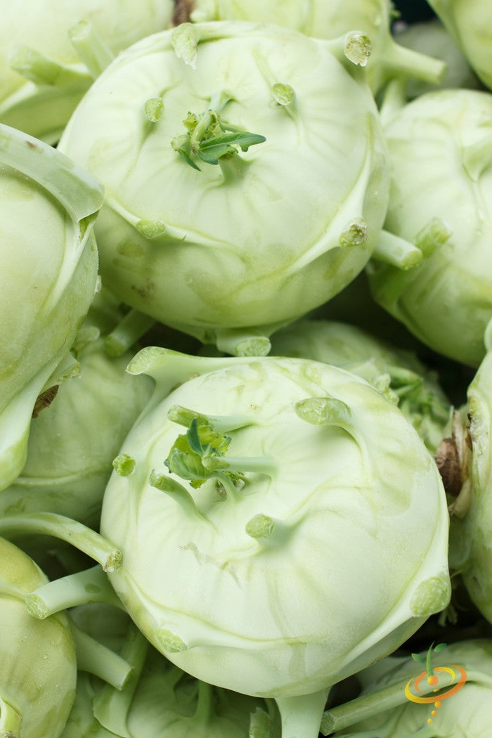 White kohlrabi Delicatesse with green stems and leaves, fresh and healthy, from SeedsNow.
