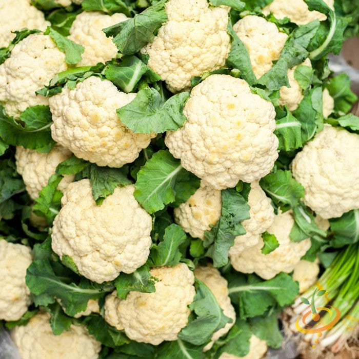 Fresh cauliflower from SeedsNow, ready to grow, with vibrant white heads and lush green leaves.