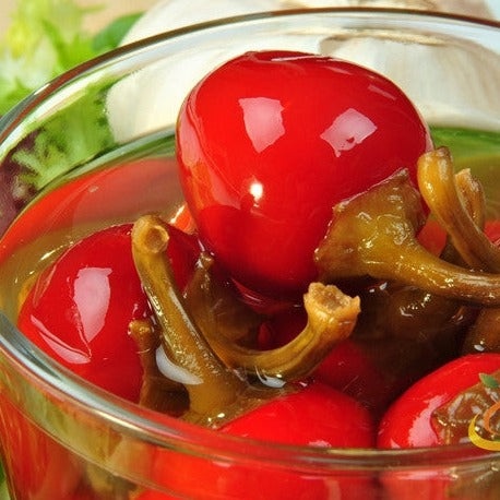 Pepper (Hot) - Cherry, Red ๐ฅ๐ฅ - SeedsNow.com