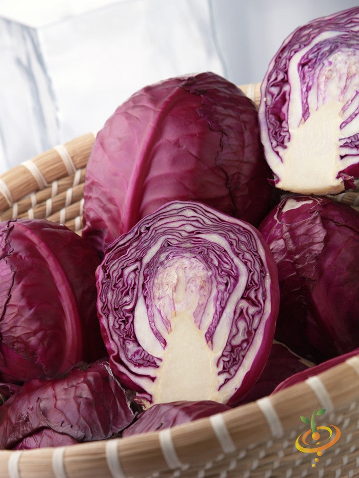Red Acre cabbage seeds from SeedsNow, showing vibrant red cabbage seeds in a close-up shot.