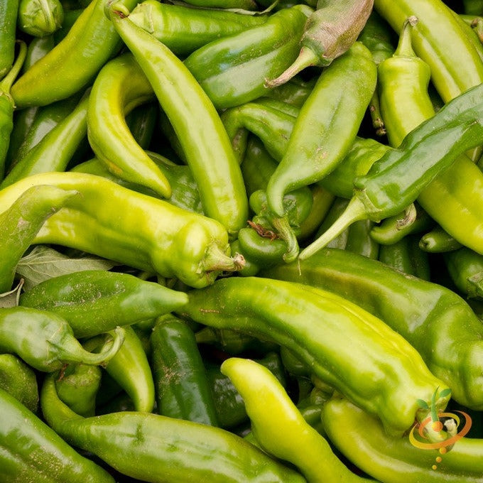 Pepper (Hot) - Anaheim Chili ๐ฅ - SeedsNow.com