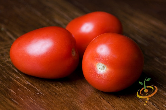 Roma tomato seeds from SeedsNow, showing fresh, healthy determinate tomato seeds ready for planting.