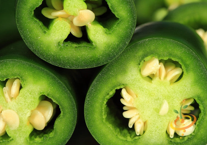 Early green Jalapeño hot pepper seeds from SeedsNow, showcasing vibrant green seeds and fresh pepper imagery.