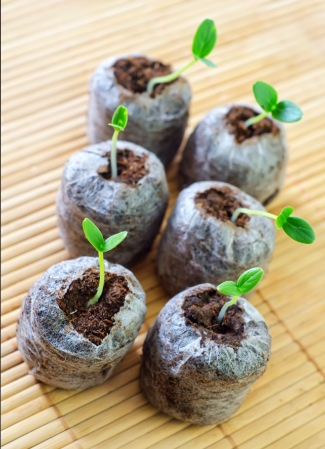 Organic PODS seed starting soil pods for germinating garden seeds, nutrient-rich and ready for planting.