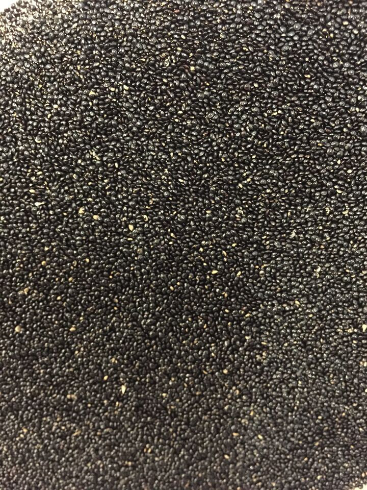 Amaranth - Red Garnet seeds - SeedsNow.com - Amaranth