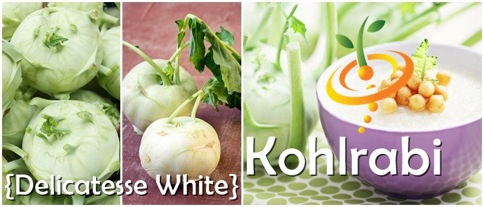 White Kohlrabi Delicatesse seeds from SeedsNow, showing the small white seed packets on a white background.