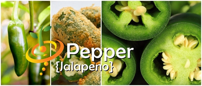 Early green jalapeño hot pepper seeds from SeedsNow, showing vibrant green pepper seeds in a close-up view.