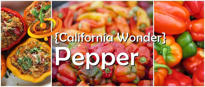 California Wonder sweet pepper seeds from SeedsNow, showing vibrant green and red peppers on the plant.