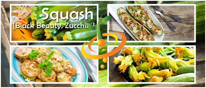 Black Beauty Zucchini summer squash seeds from SeedsNow, with vibrant green zucchini growing on a plant.