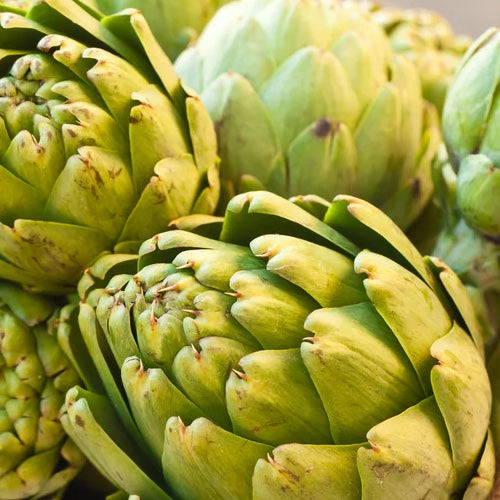 What are the best Companion Plants Compatible for Artichokes?