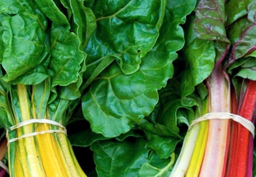 List of the Best Companion Plants for Swiss Chard Greens in the garden