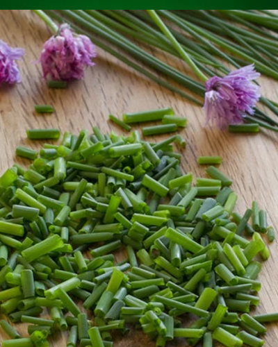 All Chive Seeds