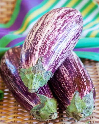 All Eggplant Seeds