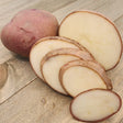 Potato (Mid-Season) - Norland, Dark Red (Organic rounds) - SeedsNow.com - Potato Seed