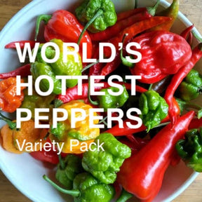 Assorted hottest pepper seeds from SeedsNow-SeedBanks in a variety pack, showcasing vibrant, spicy pepper seed packets.