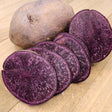 Potato (Mid-Season) - Purple Majesty (Organic rounds) - SeedsNow.com - Potato Seed