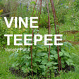 All-in-One Vine Teepee Variety Pack - SeedsNow.com - *Variety Packs
