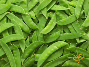 Pea - Oregon Sugar Pod.