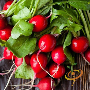 Buy fresh Champion Radish seeds online in the USA. Bright red cherry, solid skin. Shop Open-pollinated OP, USA-quality, Heirloom, NON-GMO organic seeds & more!