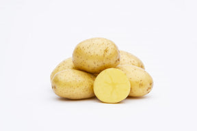 Early-season Albertine potato seed from SeedsNow-Potatoes, showing fresh seed potatoes ideal for planting.
