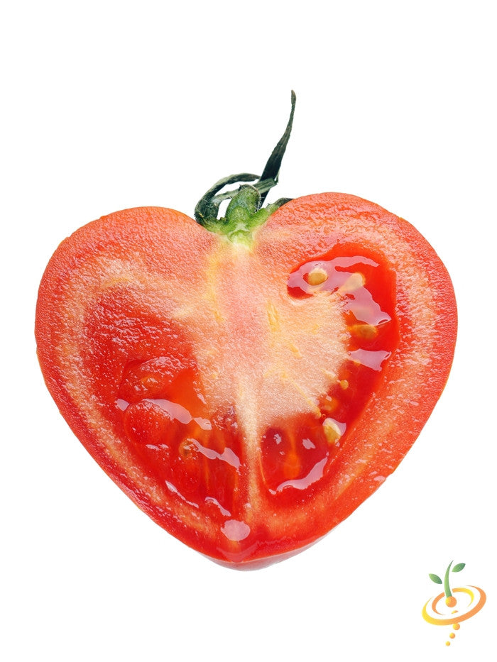 Tomato - Oxheart, Pink (Indeterminate) - SeedsNow.com