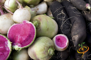 Radish - Watermelon.